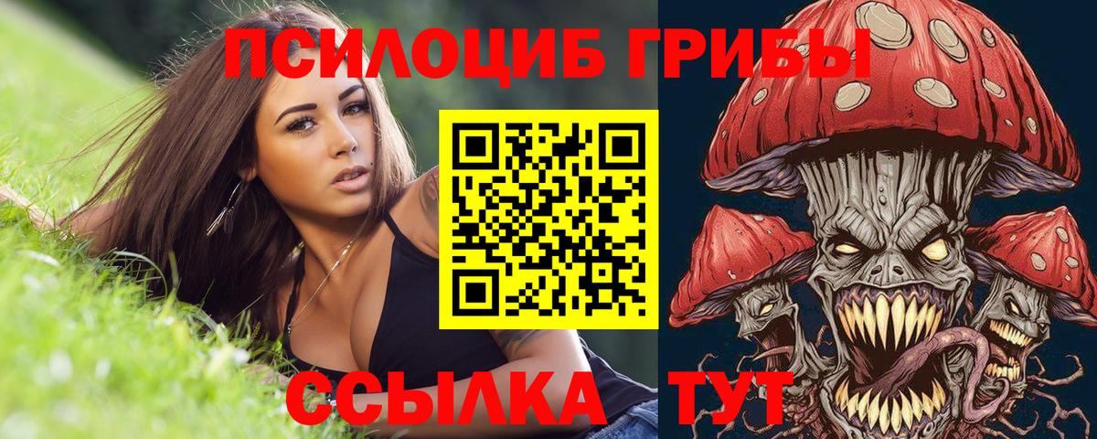 Псилоцибиновые грибы Psilocybine cubensis  Вход с VPN  Аксай  Галлюциногенные грибы мухоморы 